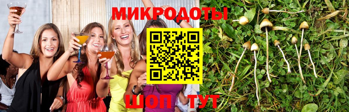 Псилоцибиновые грибы Cubensis  Вход с VPN  Галлюциногенные грибы мухоморы  что такое   Рузаевка 