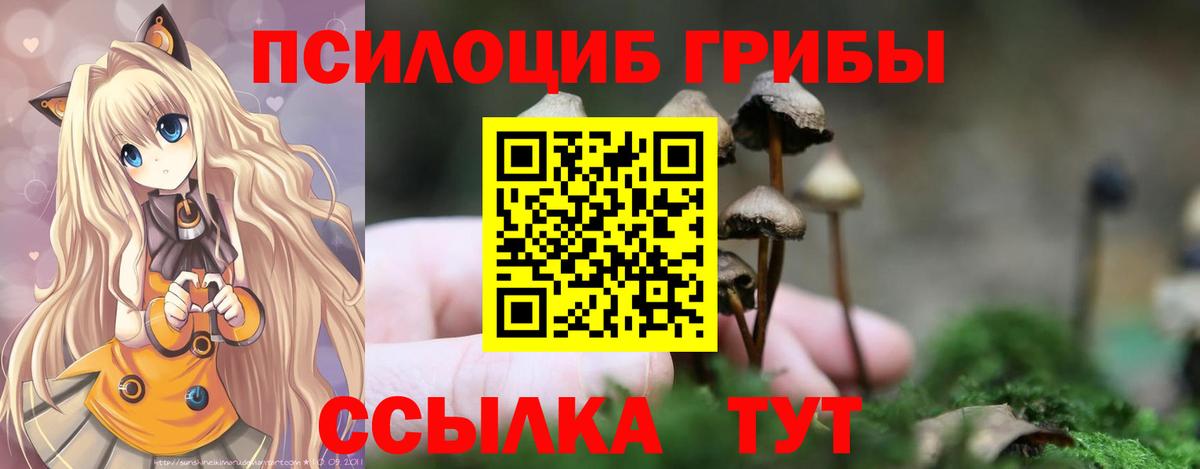 Галлюциногенные грибы Psilocybine cubensis Рузаевка